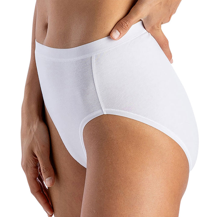 MODAL ESSENCE CLASSIC CUT HIGH RISE BRIEF - Elita Intimates