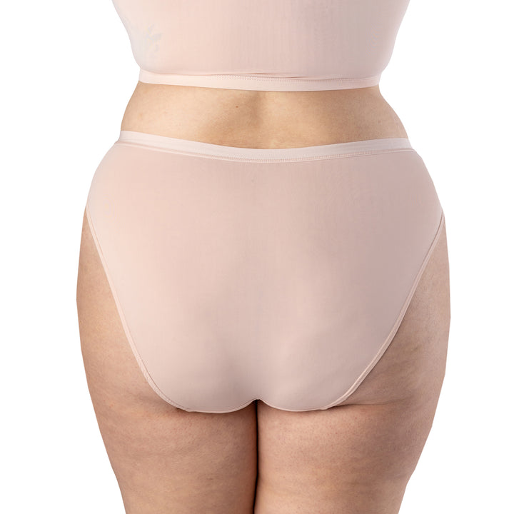 Woman's Plus Microfibre High Cut Leg Full Panty - Elita Intimates