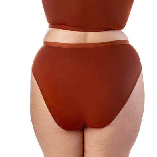 Woman's Plus Microfibre High Cut Leg Full Panty - Elita Intimates